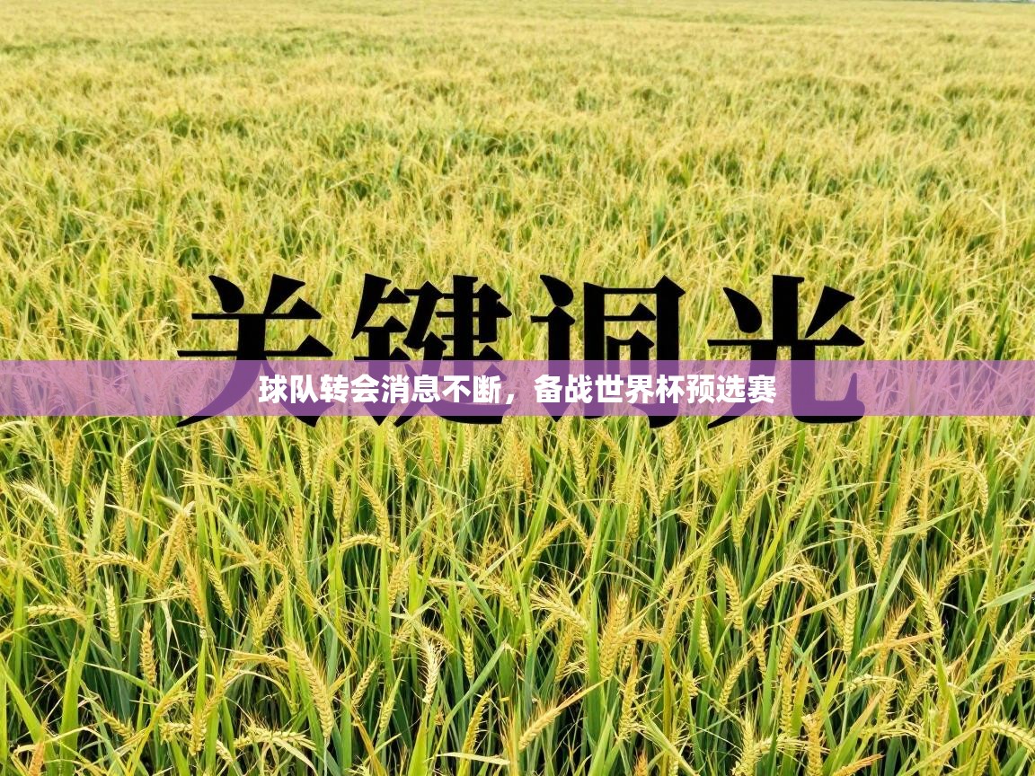 球队转会消息不断，备战世界杯预选赛  第2张