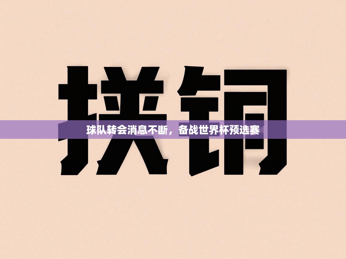 球队转会消息不断，备战世界杯预选赛  第1张
